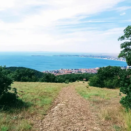 Panoramic Butterfly * سفيتي فلاس